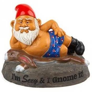 Gnome with a Sexy Twist