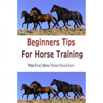 Beginners Tips For Horse Training