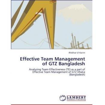 Effective Team Management of GTZ Bangladesh: Analyzing Team Effectiveness