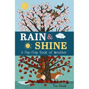 Rain & Shine: A Flip-Flap Book of Weather Board book