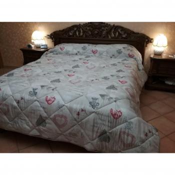 TRAPUNTA INVERNALE 250x260cm BICOLORE DOPPIA FACCIA 300g/m² PIUMONE 2 PIA