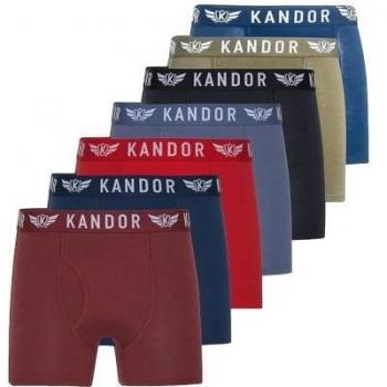 Boxers en Bambou Quinfly pour Hommes (Pack de 7)