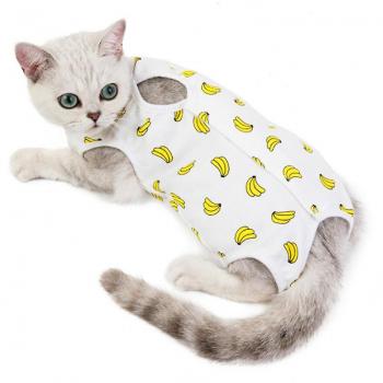Traje de Recuperación Abdominal para Mascotas