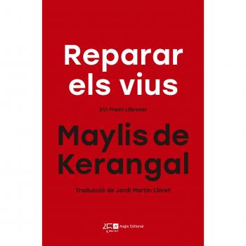 REPARAR ELS VIUS