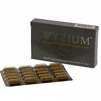 Wyzium 300 Comprimés – Support Visuel