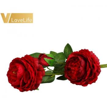 Pivoines Intérieures – Décoration Table