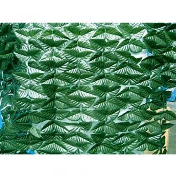 Arelle sempreverdi lauro light mt.1,00x3,00 arredo giardino