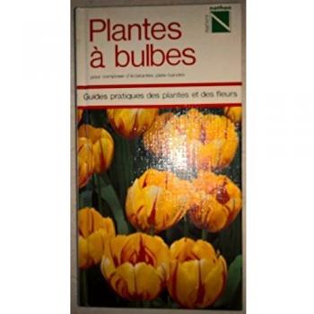 Plantes à bulbes : Pour composer d'éclatantes plates-bandes