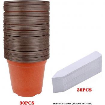 30 Count Plastic Plant Containers 4 with Labels