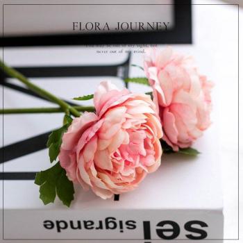 Decoración Floral de Peonía para Eventos