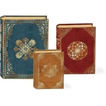 PUNCH Studio Biblioteca de Oro