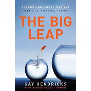 The Big Leap: Conquer Your Hidden Fear and Take Life to the Next Level