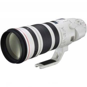 Canon EF 200-400mm/4,0 L IS USM inkl. Extender 1,4fach