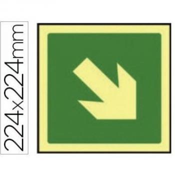 PictoLum 224 Exit Indicator