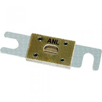 BEP IP100P/DSP ANL Fuse 100 Amp