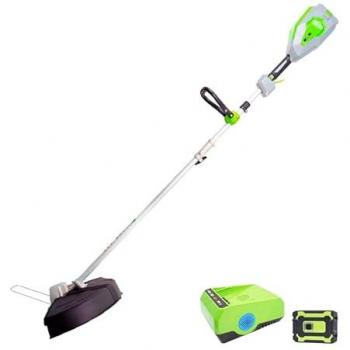 60V Akita Batteriegriff mit Ladeeinheit
