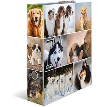 Archivero HERMA De Perros – Cartón A4, 1 Carpeta