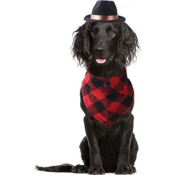 Plaid Dog Bandana and Cowboy Hat Set