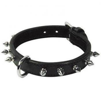 Collar Thor Negro 45cm x 15mm