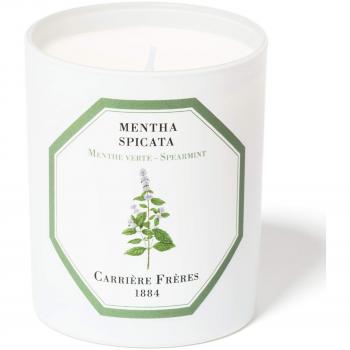 Fragrant Spearmint Candle, 6.5 oz