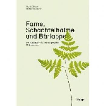 Farne, Schachtelhalme und Bärlappe: Der Naturführer zu den Farnpflanzen Mitteleuropas