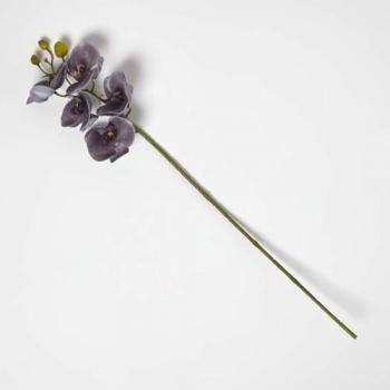 68 cm Grey Orchid Flower Stem