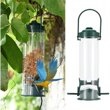 Wild Bird Feeding Station