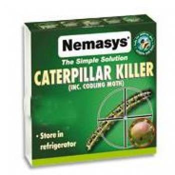 Nemasys Natural Caterpillar & Codling Moth Solution