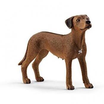 Figurine Schleich Chien de Rhodésie à crête dorsale (Farm World, 13895, Multicolore)
