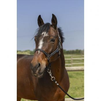 Norton Grooming Navy Shetland Collar