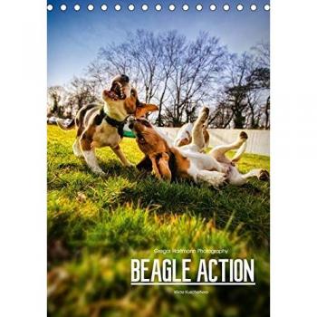 Beagle Action