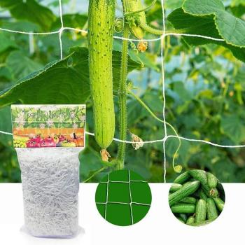 Cadre de treillis pour fleurs et légumes