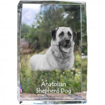 Art-Dog Transparent Dog Portrait