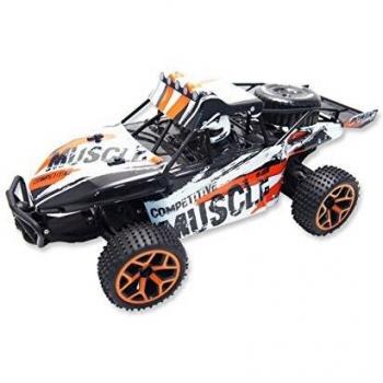 Automodello Elettrico Amewi Extreme D5 1:18 4WD