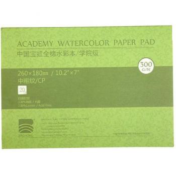 18x26cm 100% Cotton Watercolor Art Paper, 20 Sheets for Students