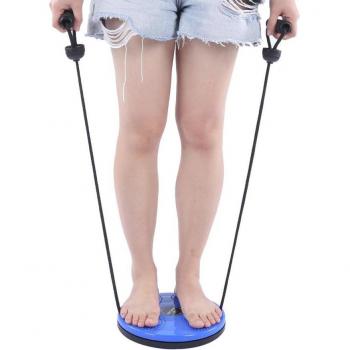 25cm Magnetic Twisting Exercise Board