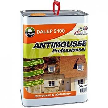 Antimousse Professionnel DALEP 2100