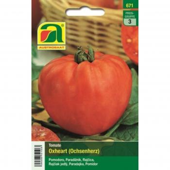 Pomodoro Cuore di Bue Italiano