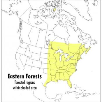 A Field Guide to Eastern Forests North America, Peterson Field Guide Series