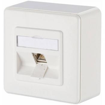 Módulo RJ45 Blanco 8‑Puertos AP
