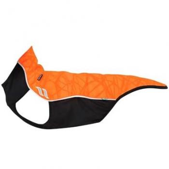 Réflexion Mini‑Dog – T-shirt Eddie Petite