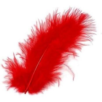 Plumes marabout 10cm rouge 15 pièces pour loisirs créatifs