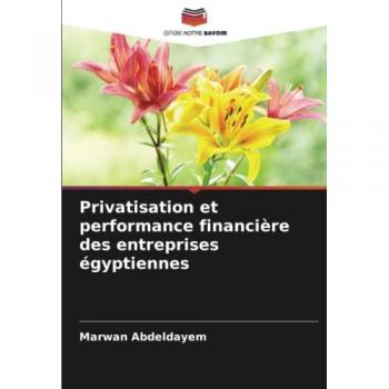 Privatisation et performance financière des entreprises égyptiennes