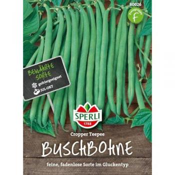 Sperli Buschbohnen Cropper Teepee Gluckentyp (verb. Daisy)