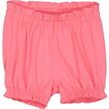 Pantaloni Fred's World con Cotone Verde e Lampone