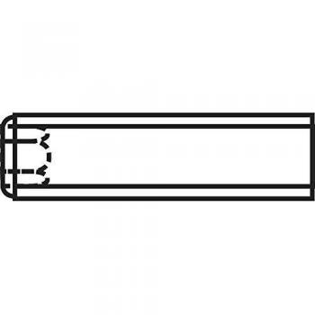 Madenschraube M5 10 mm Stahl, 20 Stück