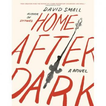 Home After Dark: A Novel