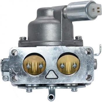 Carburador Carbman 699709 para Briggs & Stratton