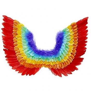Ali di piume per feste