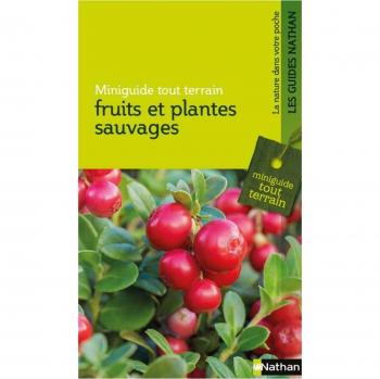 Fruits Et Plantes Sauvages